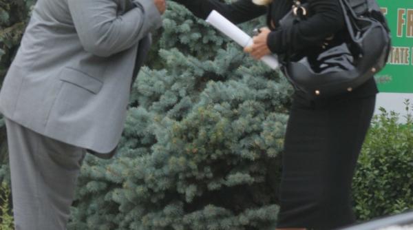 regele parcurilor descaunat