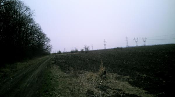 timis italienii au pus mina pe o treime din terenurile agricole ale judetului