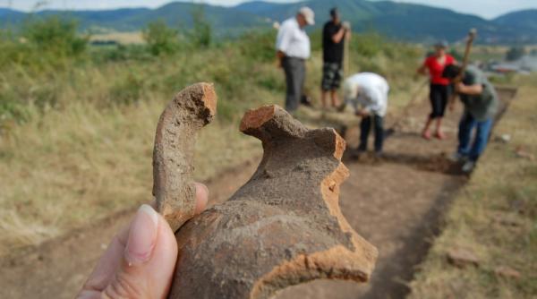 vestigiile romane rumegate de vaci
