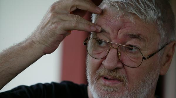 stefan iordache ultimul interviu