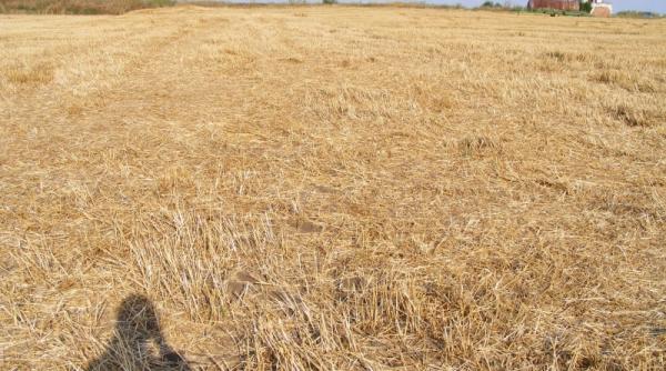 avem tehnica dar ne omoara tactica