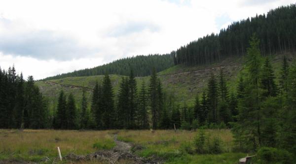 imperiul dezastrului