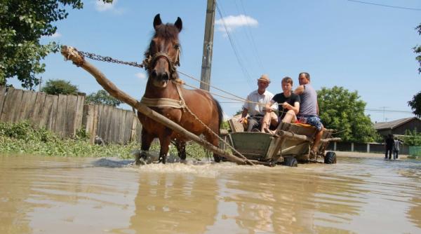 prapadul de dupa potop