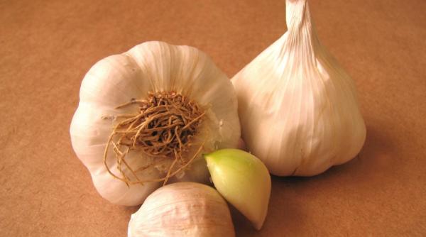 usturoiul bun pentru cardiaci