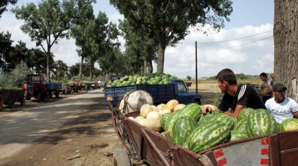 isteria lubenitelor de dabuleni