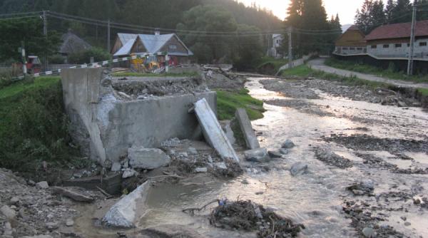 dulcea bucovina are acum aripile frinte