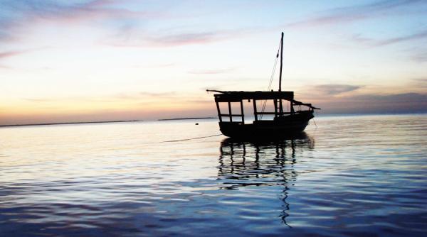 tren de placere in africa neagra xii