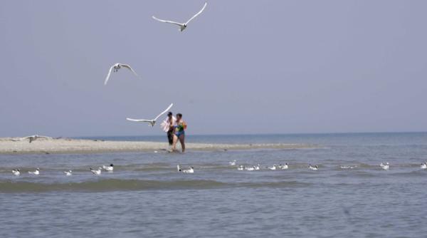 investitii la sf gheorghe