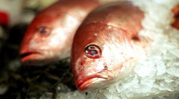 zilnic peste 12 mg de zinc