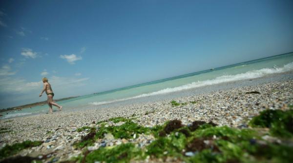 ce se poate face cu algele de pe plaje