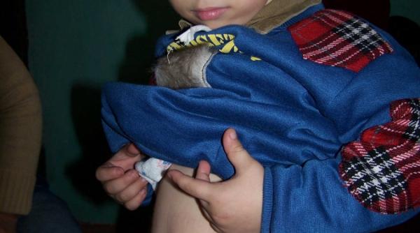 micutul invingator copilul tuturor