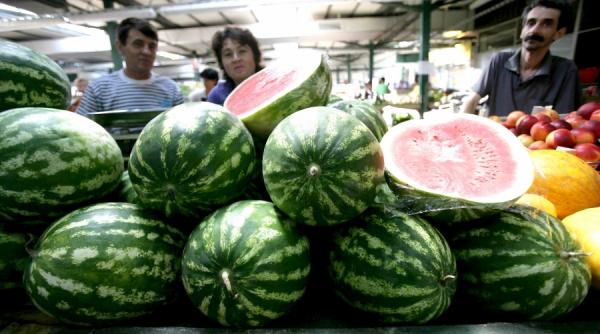 revolutie bio in baragan