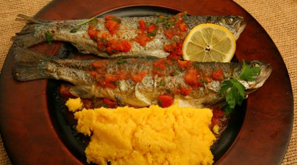 sub arcul curcubeu al pastravului