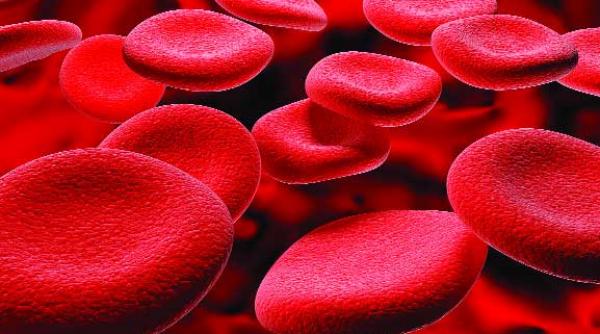 lipsa de fier se trateaza