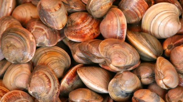 seleniul doboara virusurile