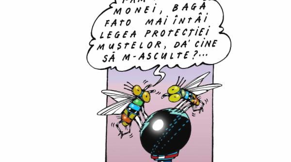 mona si a facut datoria mona poate sa ramina acasa