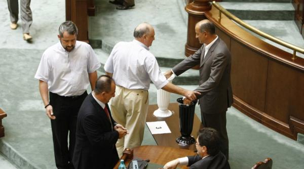 seres si pacuraru la mina dna