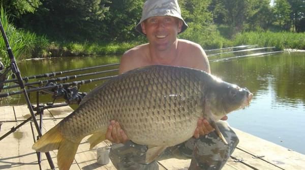 are balta peste garcea isi baga coada