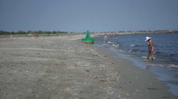 proiecte mamut pe plajele virgine