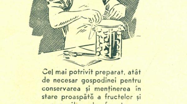 bayer pentru gospodine