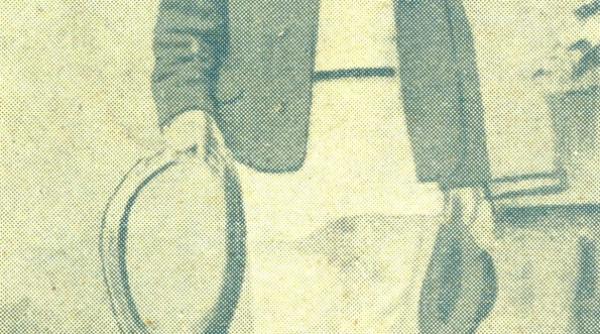 publicistica lumea taraneasca