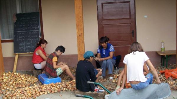 un falanster german in inima transilvaniei