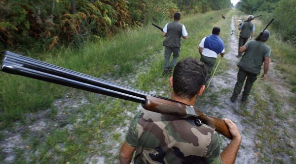 hai sa votam cu ursii