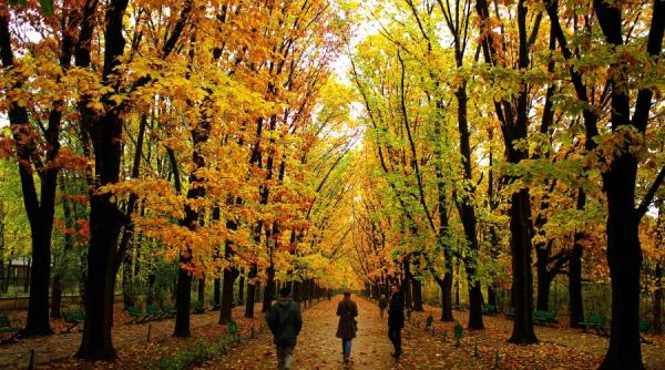 prognoza meteo icirc ncepe o toamna calda