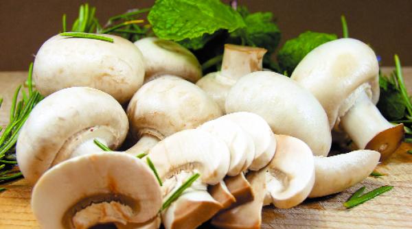 ciuperci contra cancerului