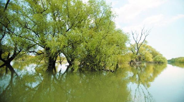 eveniment summit ul dunarenilor