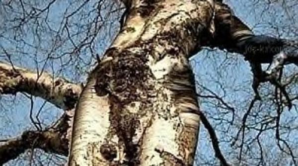 nu cred in paranormal