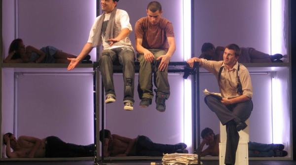 mozaic teatral la dunare