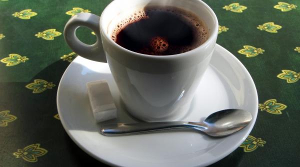 sucraloza periculosul e 955