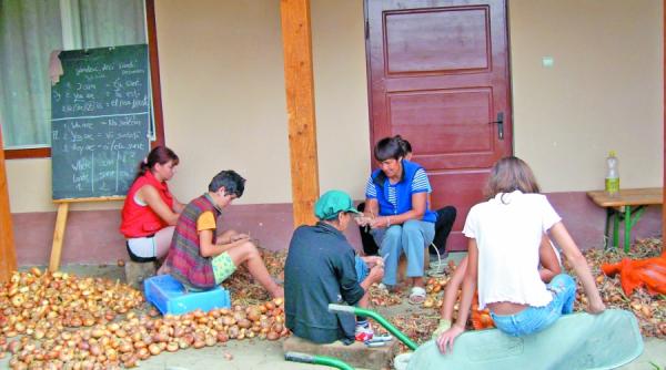 lectia de germana din inima transilvaniei
