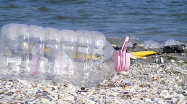 plaja corbu ultima vara de virginitate