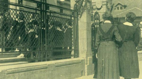 lumea intreaga merge la scoala