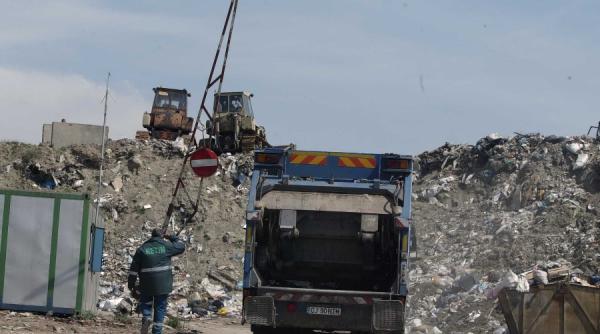 timisoara bir majorat la gunoi