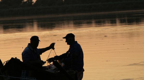 rechizitoriul deltei