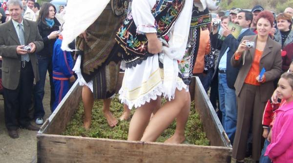 bogatie sarbatoarea vinului