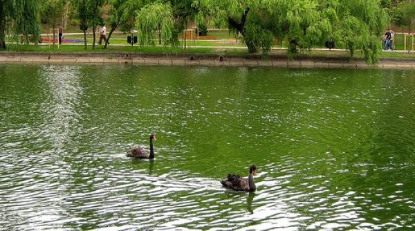 parcul bordei declarat de utilitate publica