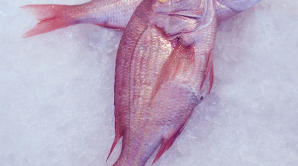 imunitate pregatire de toamna cu selenium