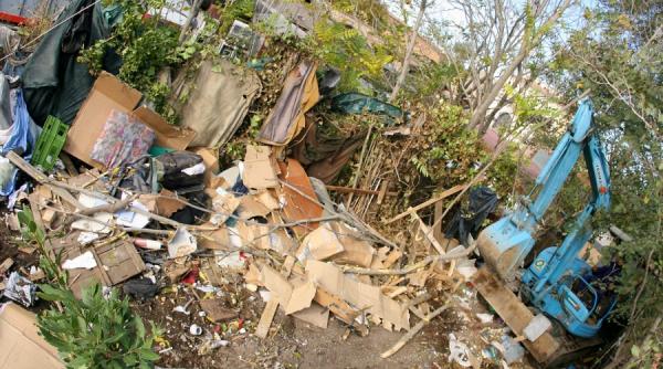 rasism si legi dure efectul mailat