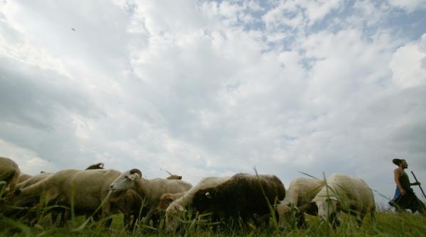 festivalul branzei si pastramei