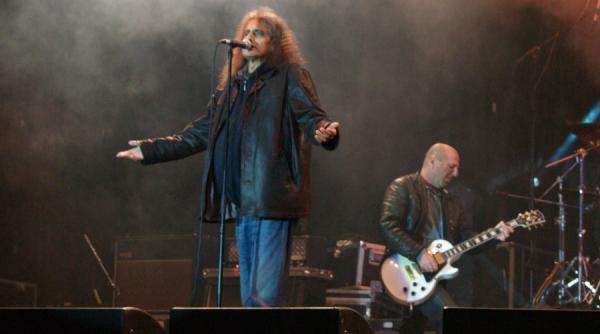 floare de iris la sinaia forever