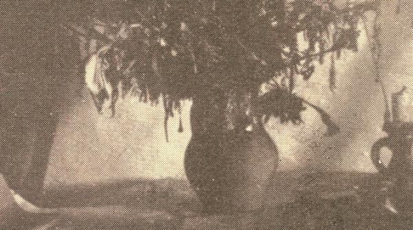 publicistica despre cultul amintirilor