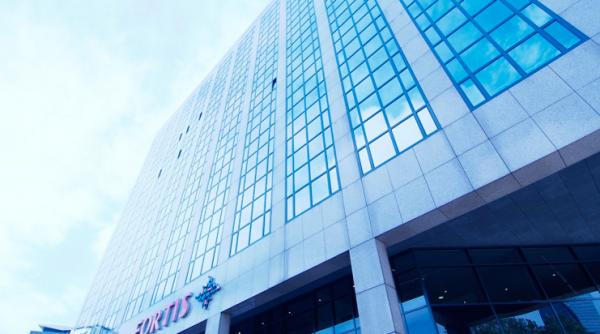 fortis cel mai mare grup financiar belgian salvat de la faliment