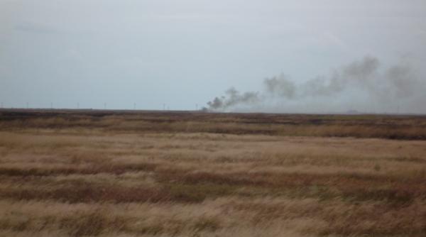 tulcea incendii de proportii in delta dunarii