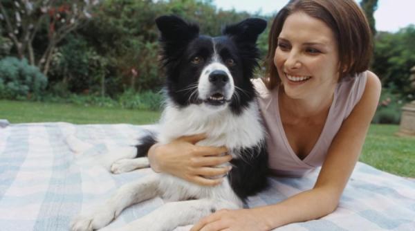 ziua mondiala a animalelor