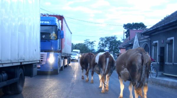 brasov sibiu 142 km 34 de semafoare 3 ore drum european al vacilor