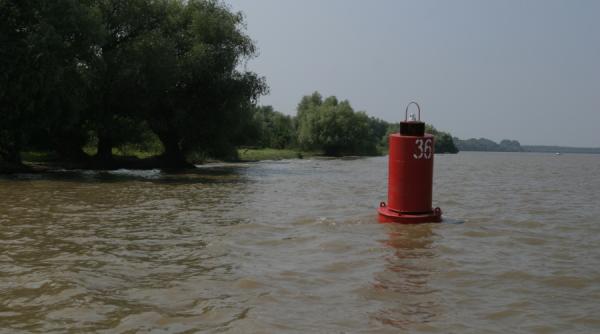 canalul bistroe continua